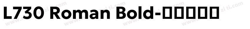 L730 Roman Bold字体转换